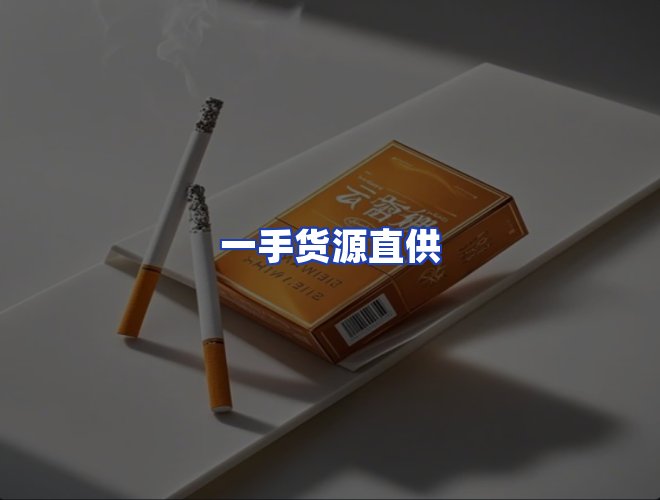 专业团队